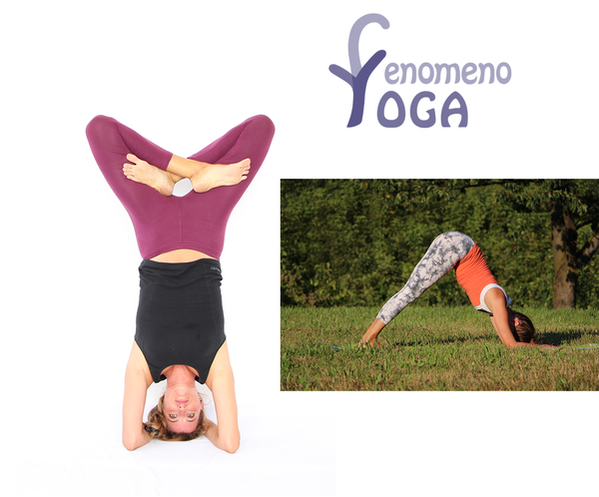Il potere del numero sacro 108 e la sua connessione con lo yoga - Centro  Yoga 108